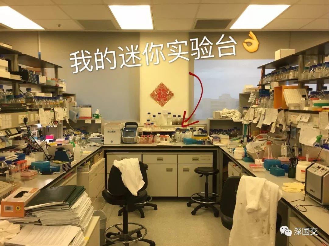 李阳: 从港大到牛津 深国交 深国交优秀学生 牛津大学 英国大学 学在国交 名校录取 第6张