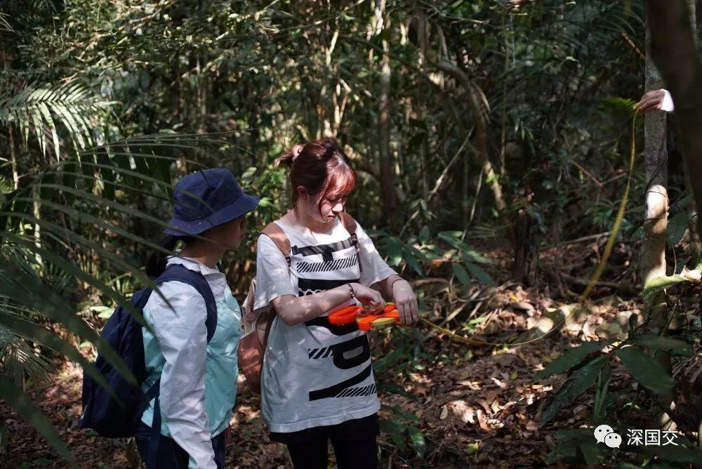 学生物，先去泰国原始丛林体验吧！ 深国交 学在国交 户外 第10张