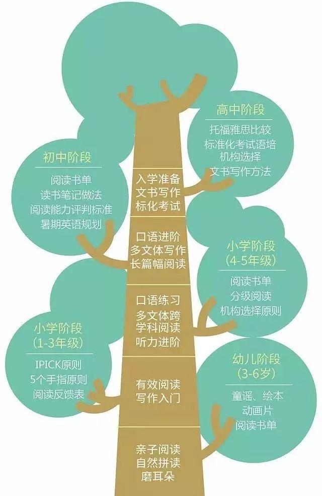 读了国际化学校和美高，为什么还是学不好英文？ 国际学校 培训 国际化教育理念 美国教育制度 第6张