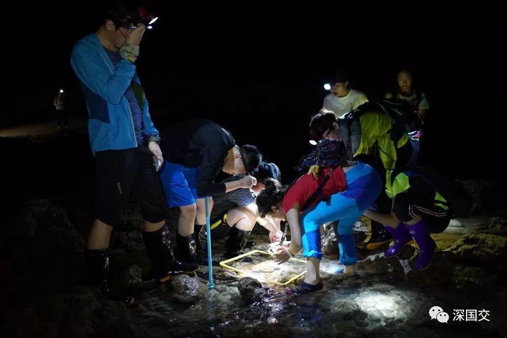 学生物，先去泰国原始丛林体验吧！ 深国交 学在国交 户外 第25张