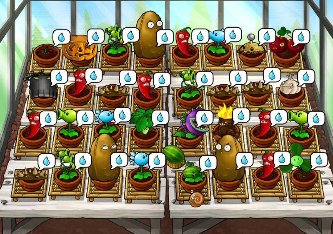 BPC| 植物大战僵尸中的投资Investment in Plants vs Zombies 深国交 学在国交 第1张