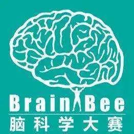 深国交，碧桂园，广外都在参加的赛事 -- Brain Bee脑科学大赛