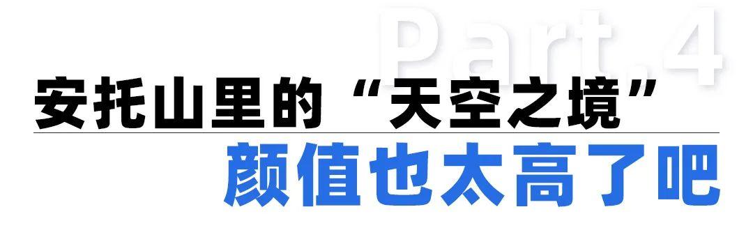 深国交：18年铸就中国国际高中的“传奇”，牛剑藤校斯坦福遍地开花  深国交 深圳国际交流学院 第14张