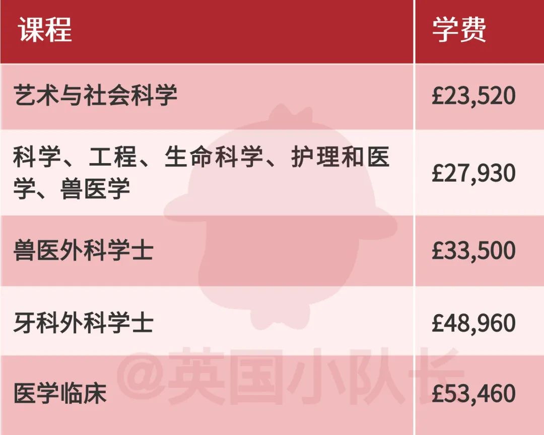 留学生2023学费暴涨3000镑，剑桥最便宜的人文社科专业也需近2.5万镑  英国留学 费用 剑桥大学 第21张